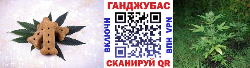 Купить где  Нововоронеж  Canna-Cookies конопля 