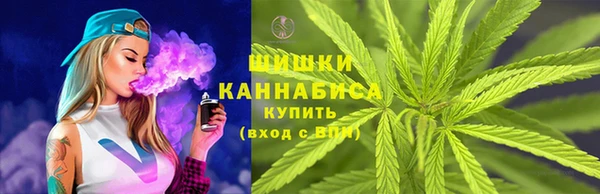 хмурый Заводоуковск
