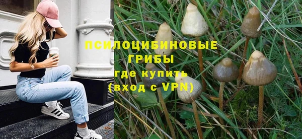 mdma Зеленокумск