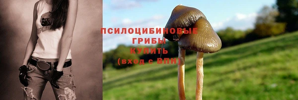 mdma Зеленокумск