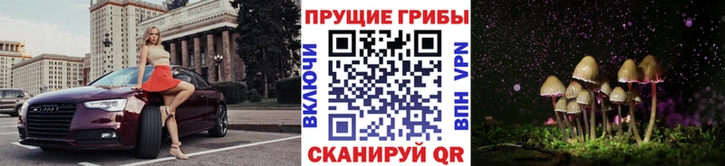 Псилоцибиновые грибы мухоморы Купить где Нововоронеж