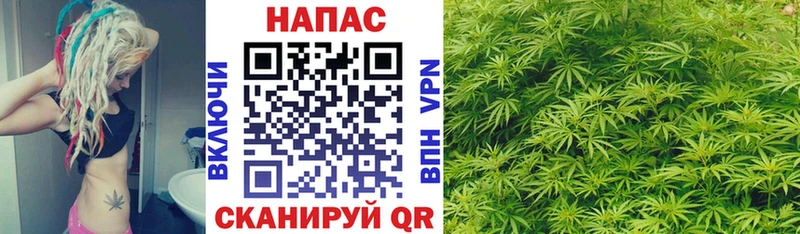 Бошки Шишки Bruce Banner  Купить закладки  Нововоронеж 